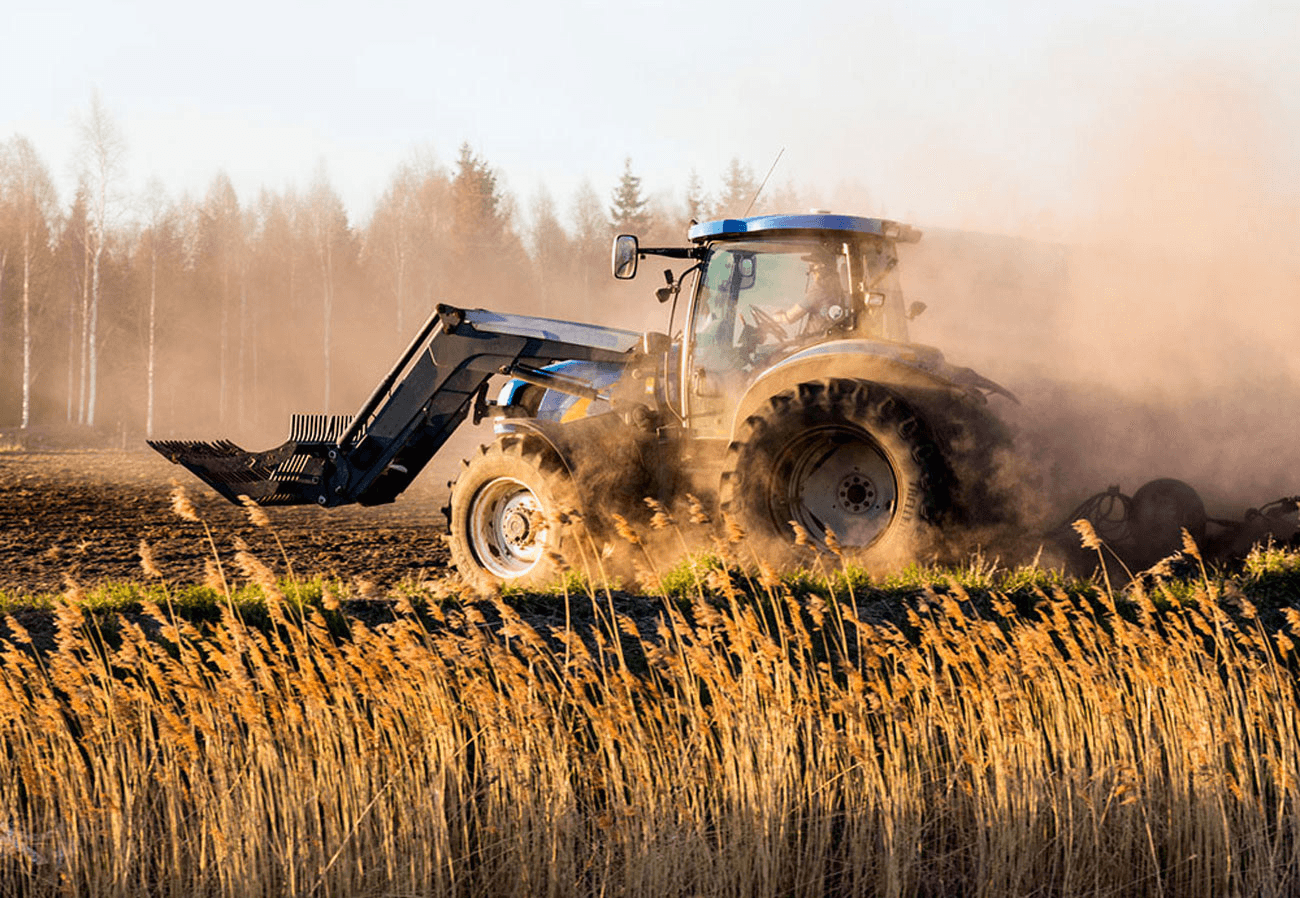 A tractor ploughing a dusty field at golden hour, with birch trees and tall grass in the foreground.