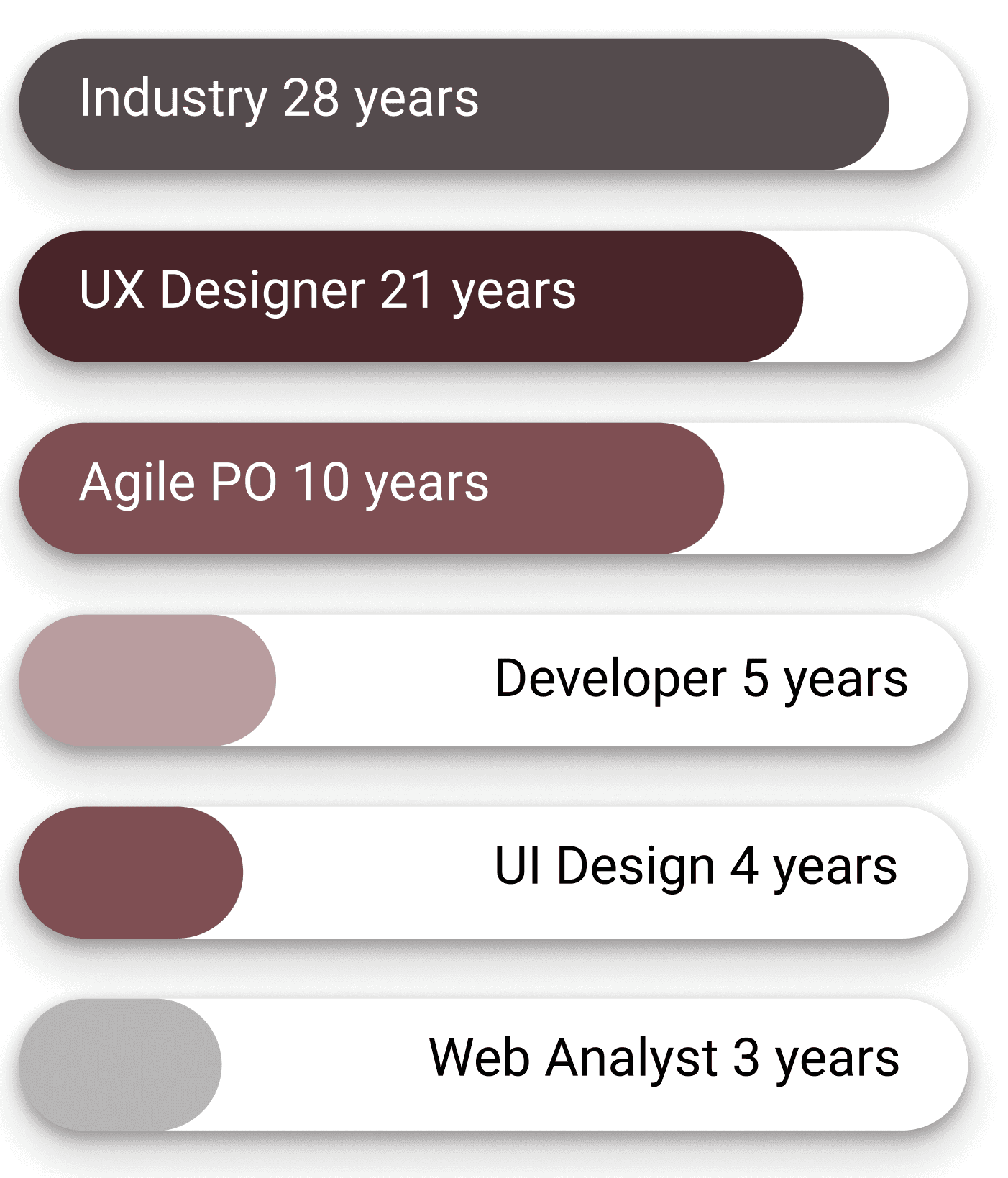 A bar chart breaking down years of experience by area: Industry, 28 years; UX Designer, 21 years; Agile PO, 10 years; Developer, 5 years; UI Design, 4 years; Web Analyst, 3 years.